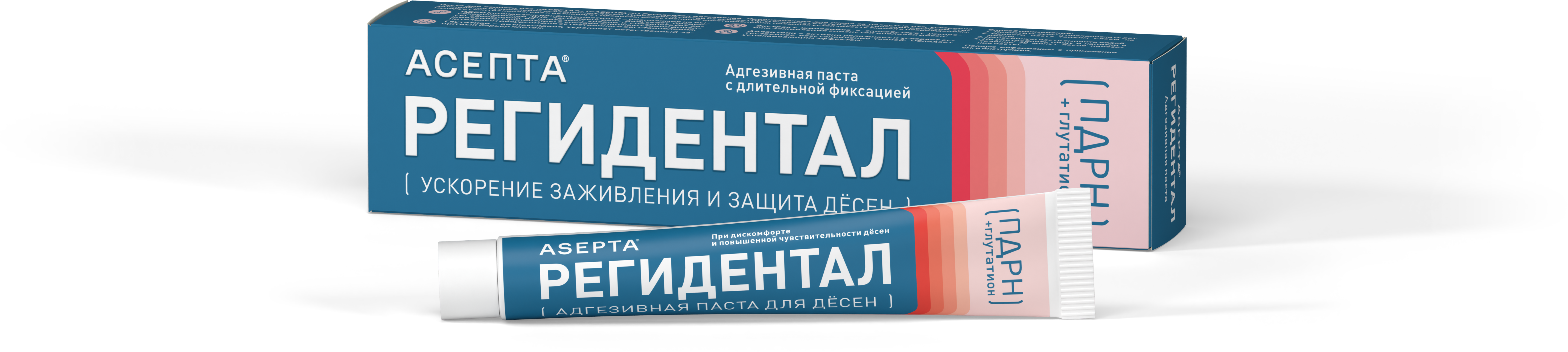 ASEPTA<sup>®</sup> РЕГИДЕНТАЛ адгезивная паста для десен